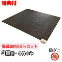 ゼンケン 3畳用 電磁波防止 ホットカーペット ZCB-30P 本体 ダニ退治 電磁波カット ホットマット 冬 暖房 床 電気カーペット 電子ホットカーペット ...