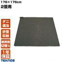 【選ぶ景品付き】 テクノス ホットカーペット 2畳用 TWA-2002B 176×176cm 電気カーペット 足元ヒーター 床暖房 足元暖房 足温機 脚温機 ホ...