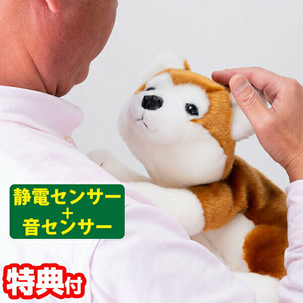 【選ぶ景品付き】 なでなでワンちゃん 秋田犬 HACHI ハチ 音声認識 静電センサー 鳴くぬいぐるみ 応える センサートイ なでる 愛犬 ワンちゃん 犬 音センサー 鳴く 鳴くぬいぐるみ 介護ぬいぐるみ 音声認識人形 ドールセラピー なでなでワンチャン なでなでわんちゃんのサムネイル