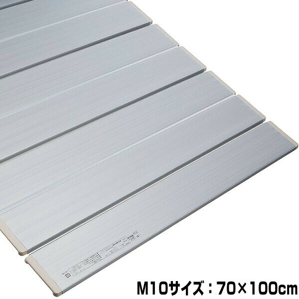特典【お米＋ポイント】 AG折りたたみ風呂ふた [M10サイズ：70×100cm] 純銀のチカラ「ミューファン・パウダー」 AG折…