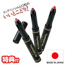日本製 ワンフィニッシュ フチドールリップ スリムタイプ口紅 リップペンシル 口紅 いいとこどり リップライナー ふちどるリップ リップメイク 唇 縁取り リッ...
