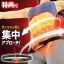 下腹エクササイズ フリパラツイスター お腹周り ウエスト 下腹 骨盤周り 二の腕 お手軽 エクササイズ 簡単 トレーニング 美姿勢 サポート 自宅でかんたん エ...