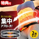 【選ぶ景品付き】 2個セット 下腹エクササイズ フリパラツイスター お腹周り ウエスト 下腹 骨盤周り 二の腕 お手軽 エクササイズ 簡単 トレーニング 美姿勢...