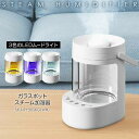 【選ぶ景品】 スチーム式 加湿器 14畳対応 卓上 LEDライト おしゃれ SKジャパン ガラスポットスチーム加湿器 SKJ-RY30SKG(WH) ホワイト ...