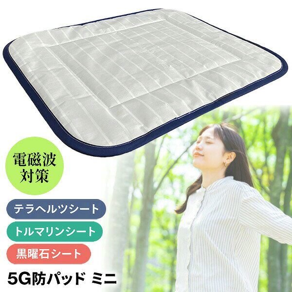 楽天市場】テラヘルツ パッドの通販