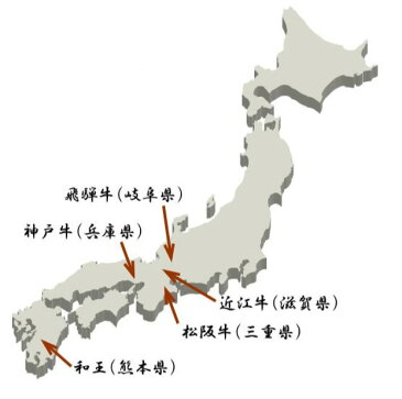 和牛 ブランド牛 すき焼き・焼肉 5種類プレミアセット 1kg 上質 焼き肉用 すき焼き用 松坂牛 神戸牛 飛騨牛 近江牛 和王 食べ比べ ブランド肉 A4ランク A3ランク お正月 クリスマス 通販 お取り寄せ パーティー 誕生日 記念日 お歳暮 お中元 母の日 父の日 ギフト