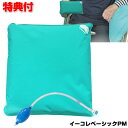 イーコレベーシックPM 丸ポンプ付き Mサイズ 45×45×5cm キュービーズ クッション 龍野コルク工業 車いす 形状記憶固定具 負担軽減クッション 車椅子...
