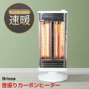 【選ぶ景品】 ブリッサ 900W 首振り ツイン カーボンヒーター BDTM900WH 速暖ヒーター 首振り 足元ヒーター 脚温機 足温機 子供部屋ヒーター ヒートショック予防 暖房器具 脱衣所ヒーター 小型ヒーター 足元ヒーター 900W 電気暖房 遠赤ヒーター 遠赤外線
