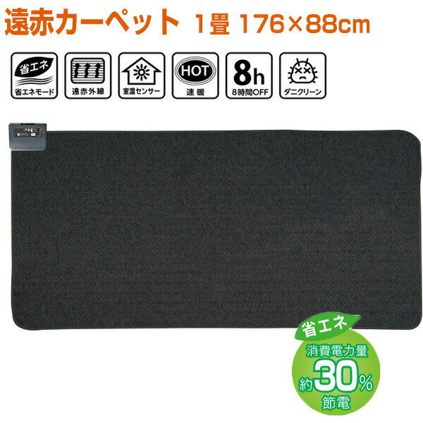 【選ぶ景品】 KODEN 電気カーペット 1畳用 VWU101R-C 広電 コウデン ホットカーペット 遠赤・省エネタ..