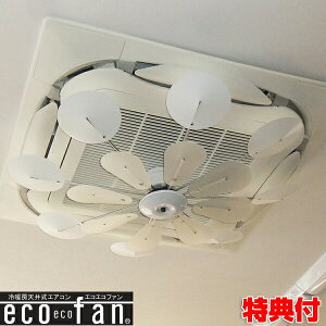 褱&ʥк ŷ ecoecofan ե  TEZ-503 Ź ե   Ǻ  ľ  Ź ŵ Ÿ餺 Ȼ ˼ ˼ γ¤ȳȻ  ȵ 䵤Ȼ ʥ  