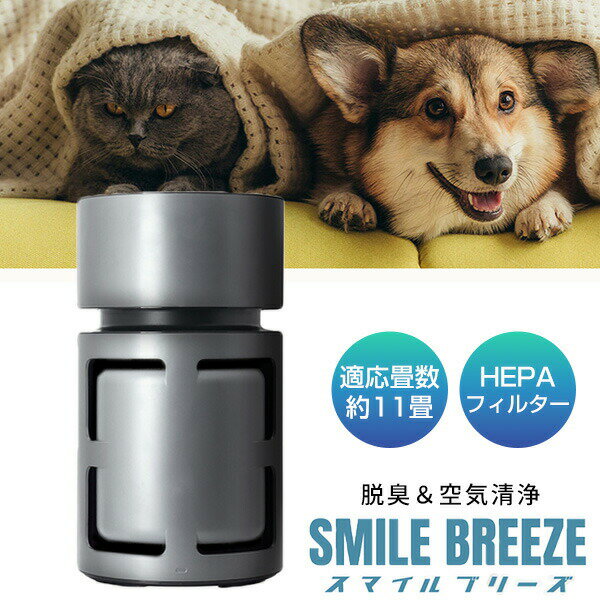 �����ַ��ʡ� �ɥ�ƥå� ���������� ���ޥ���֥꡼�� AC-100DG 11�� HEPA�ե��륿�� �ڥåȶ��������� ���������� ����æ���� ��ʴ �����륹 ...