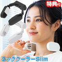 −17℃ サンコー ネッククーラーSlim 首掛け ネッククーラー バッテリー付 2000mAh ネッククーラースリム TK-NEMB3 首元クーラ...