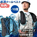 TVで紹介【選ぶ景品】 サンコー 水冷クールベスト WACOVEC ガツンと冷える 水冷クールベスト 作業着 作業服 現場 工場 農業 熱中症対策 水冷ベスト ...