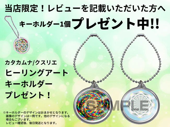 静電気除去枕 空ねる枕 ■レビューでヒーリングキーホルダー付 静電気除電カプセル内蔵 くうねるまくら 空ねるまくら 空ねるマクラ 静電気対策まくら [月/入荷]