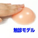 乳がん触診モデル(しこりチェッカー) 疑似しこり入りゲル 乳がん検診 の説明に 乳がん自己触診 乳がんチェック 乳癌検診 体験用
