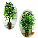 ベンジャミン&観音竹 特別2個セット 大型 観葉植物 人工観葉植物 店舗やリビングにもお勧め 観葉 植物 今ならもれなく竹製鉢カバー付き 店舗用観葉植物 観賞用植物