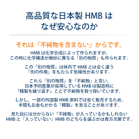 ドリンクHMB10本セット日本予防医薬HMBカルシウム塩化マグネシウムビタミンD筋肉トレーニングジムロコモ対策サルコペニア対策通販