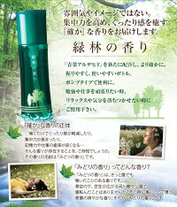 ◆予約商品7月下旬出荷◆緑林の香りスタートセット(芳香器IYASHIBALL+芳香剤緑林の香り)アロマ癒しアロマディフューザーアロマランプアロマポットグリーンみどり香りベッドサイド日本予防医薬通販
