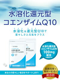 水溶化還元型コエンザイムQ10120粒タブレットサプリメント錠剤コエンザイムQ10エイジングケア日本予防医薬通販