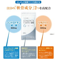 コンドロイチンA+リカバリー酵母【10日分】80粒サミー日本予防医薬通販