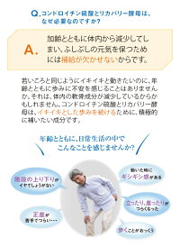 コンドロイチンA+リカバリー酵母【10日分】80粒サミー日本予防医薬通販