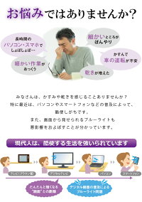 【まとめ割】水溶化ルテイン+クロセチン(90日分)サプリビルベリーブルーベリーマリーゴールドゼアキサンチン日本予防医薬まとめ買い