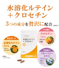 水溶化ルテイン+クロセチン【180粒90日分】約3ヶ月分お徳用まとめ買いセットサプリカプセルビルベリーブルーベリーマリーゴールドゼアキサンチンデキストリンカロテノイド日本予防医薬通販