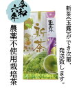 新茶【2024年　新茶玉露】予約販売。農薬不使用茶、新茶キャンペーン送料無料、50g新茶、日本茶、茶葉、和束茶、新茶ができ次第発送いたします。（収穫予定時期5月10日～5月20日）