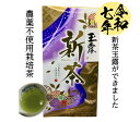 新茶【2025年 新茶玉露】農薬不使