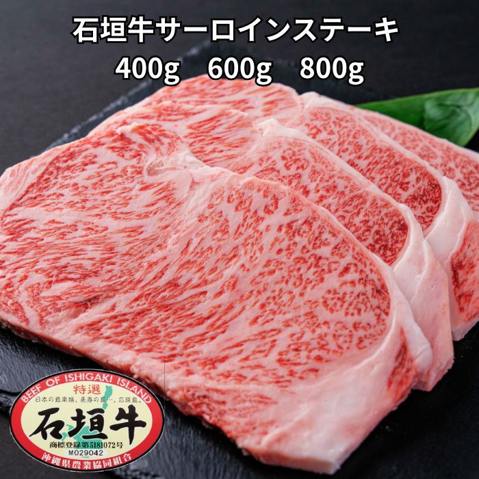 ��25������P5�ܡۡ��г��� ���������� ���ơ��� (400g 600g 800g) �� �����µ� �г� �����ѥå� ���� ������ ���� �µ� �� ���� �г�...