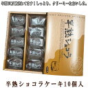 ギフト 半熟 ショコラ ケーキ 10個入 　スフレ 半熟 スィーツ はんじゅく 母の日 2019 ギフト 誕生日 プレゼント