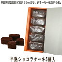 半熟ショコラケーキ 5個入 チョコレート ギフト 半熟 スィーツ はんじゅく バレンタイン ギフト 2019 プレゼント スイーツ ギフト 誕生日プレゼント 個包装