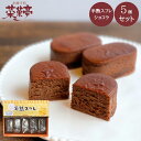 ギフト 半熟ショコラ ケーキ 5個入 送料別 チョコレート ギフト 半熟 スィーツ はんじゅく ギフト プレゼント スイーツ 誕生日プレゼント 個包装 大量 夏ギフト 取り寄せ スイーツ ギフト 御祝 2025 ホワイトデー クーポン配布中