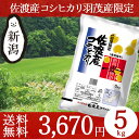米物語 佐渡産コシヒカリ JA羽茂 5kg 送料無料 お米 ...