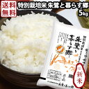 令和元年産 新米 お米 佐渡産コシヒカリ 送料無料 5kg 特別栽培米 朱鷺と暮らす郷 新潟 ギフト 内祝い 出産内祝い 結婚内祝い お返し 快気祝い 出産祝い 結婚祝い 贈答品 贈り物 プレゼント 景品 お礼 減農薬 減化学肥料 特A お歳暮