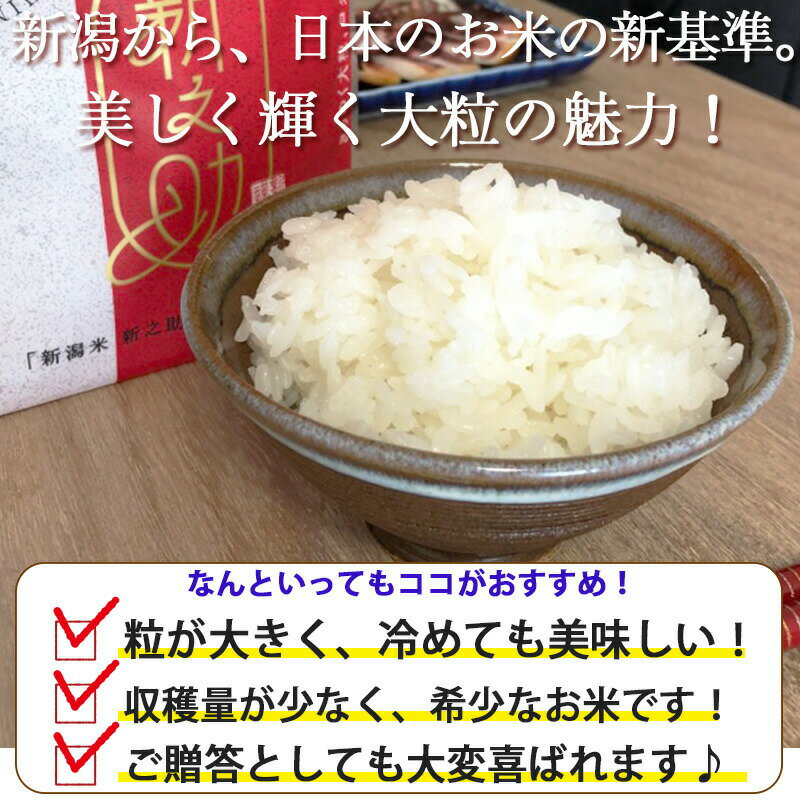 令和5年産 新潟産新之助 5kg ｜米 5kg 送料無料 新潟 白米 お米 しんのすけ 新潟 ブランド米 ギフト 内祝 お返し お祝 贈答品 贈り物 プレゼント 賞品 景品 お礼