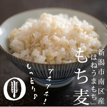 国産 戸頭大麦屋 もち麦 600g | 新潟産 雑穀 はねうまもち 食物繊維 βグルカン 健康 お試し プチギフト 無洗米 父の日
