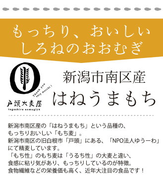 国産 戸頭大麦屋 もち麦 600g | 新潟産 雑穀 はねうまもち 食物繊維 βグルカン 健康 お試し プチギフト 無洗米 父の日