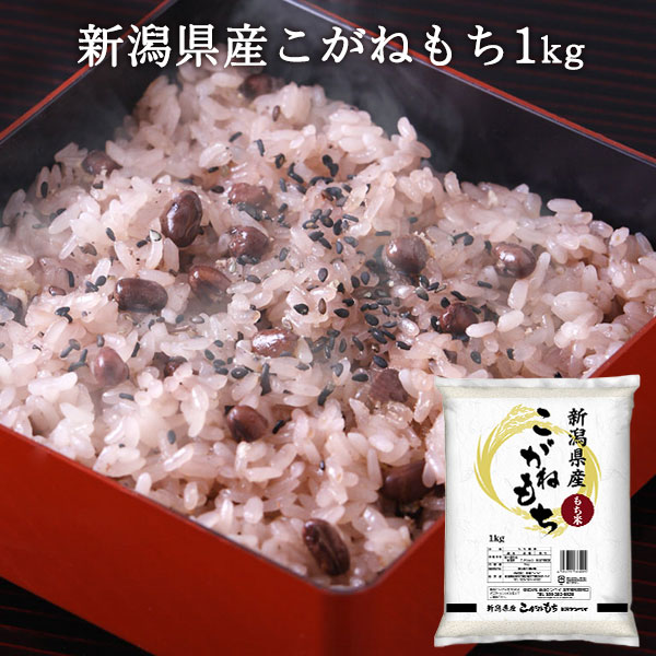 新潟産こがねもち 精米 1kg ｜ もち米 雑穀 お餅 赤飯 おこわ 国産 ブランド米 ギフト 内祝い お返し ..