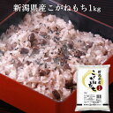 新潟産こがねもち 精米 1kg ｜ もち