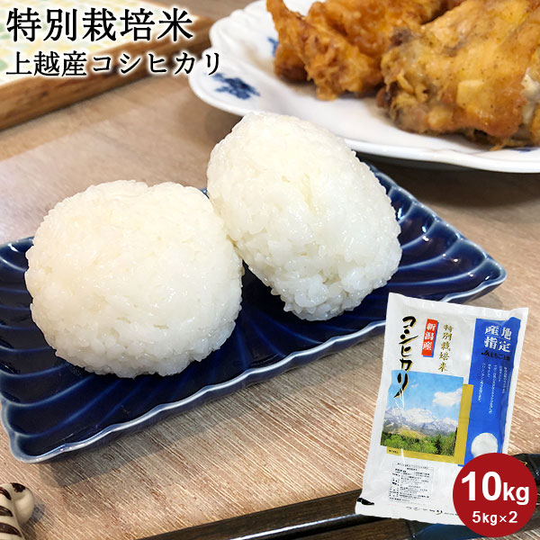 特別栽培米 上越産コシヒカリ 10kg(5k