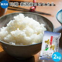 無洗米 吟精 新潟産コシヒカリ 2kg|米 お米 送料無料 美味しい 無洗米 コシヒカリ新潟 こしひかり 白米 新潟 手荒れ防止 エコ ギフト 内祝い お返し ...