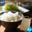 いなほんぽ米 2kg |米 2kg 美味しい お米 2kg コシヒカリ新潟 こしひかり 白米 新潟産コシヒカリ ギフト 仕送り 内祝い 出産内祝い 結婚内祝い お返し 快気祝い 出産祝い 結婚祝い 贈答品 贈り物 プレゼント 賞品 景品 お礼 お中元 お歳暮 令和3年産 父の日