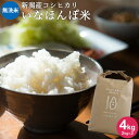 いなほんぽ米 4kg(2kg×2) ｜ 無洗米 送料無料 新潟産コシヒカリ ギフト 仕送り 内祝い 出産内祝い 結婚内祝い お返し 快気祝い 出産祝い 結婚祝い 贈答品 贈り物 プレゼント 賞品 景品 お礼 お中元 お歳暮 令和2年産 父の日