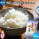 【令和7年産★新米】無洗米 吟精 新潟産コシヒカリ 2kg|米 お米 送料無料 美味しい 無洗米 コシヒカリ新潟 こしひかり 白米 新潟 手荒れ防止 エコ ギフト 内祝い お返し お祝い 贈答品 贈り物 プレゼント 賞品 景品 お礼