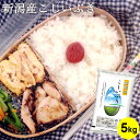 新潟産こしいぶき 5kg ｜ お米 送料無料 新潟 お弁当 おにぎり ギフト 内祝い お返し お祝い 贈答品 贈り物 プレゼント 賞品 景品 お礼 お中元 お歳暮 令和2年産 父の日