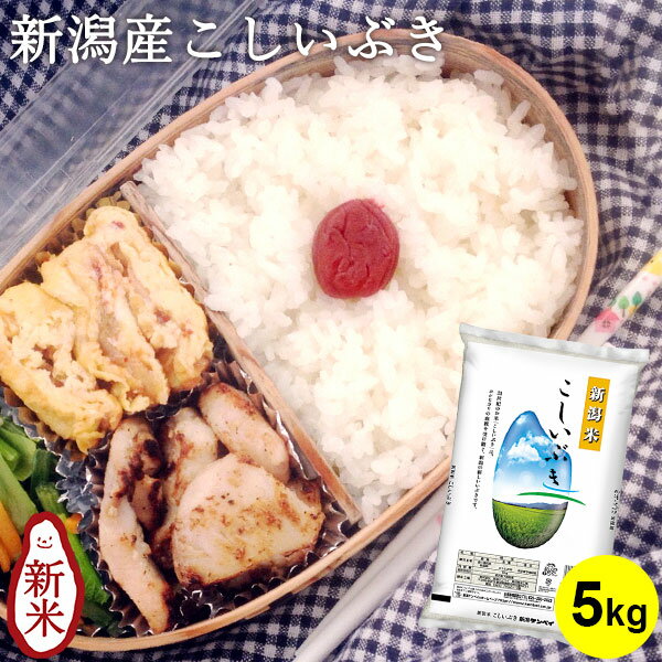 【令和5年産★新米】新潟産こしいぶき 5kg ｜米 お米 5kg 送料無料 無洗米 コシイブキ新潟 こしいぶき 白米 新潟 お弁当 おにぎり ギフト 内祝い お返し お祝い 贈答品 贈り物 プレゼント 賞品 景品 お礼 令和5年産