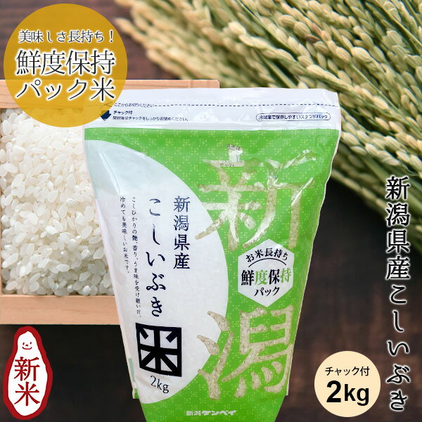 【令和6年産新米予約★9月中旬発送予定】鮮度保持パック 新潟産こしいぶき(チャック付2kg)｜米 お米 送料無料 コシイブキ 新潟 こしいぶき 白米 お試し 新鮮 少量 ギフト 内祝い お返し お祝い 贈答品 贈り物 プレゼント 賞品 景品 お礼 仕送り 令和6年産 新米のサムネイル