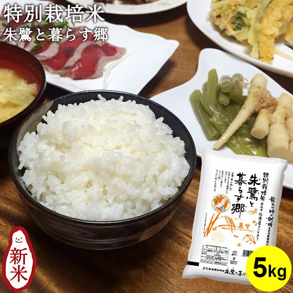【期間限定大特価★6,620円⇒4,620円!! 12/11 01:59まで】特別栽培米 朱鷺と暮らす郷 |米 お米 5kg 送料無料 コシヒカリ新潟 こしひかり 白米 佐渡産コシヒカリ 新潟 減農薬 減肥料 令和7年産 楽天スーパーSALE