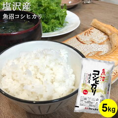 https://thumbnail.image.rakuten.co.jp/@0_mall/niigata-rice/cabinet/items/main/uo/20305005.jpg